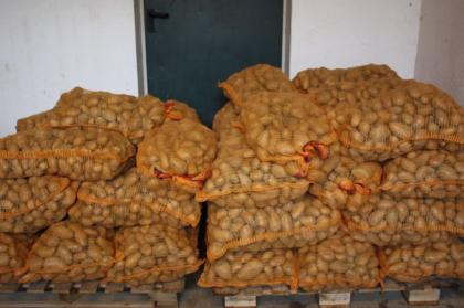 Futterkartoffeln super Winterfutter
