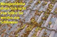 DER PROFI MACHT S