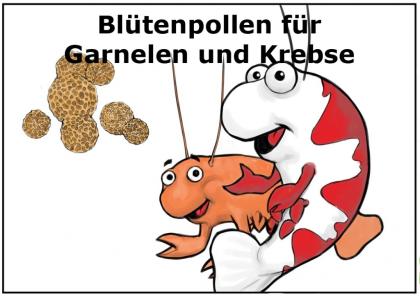 Blütenpollen Zusatzfutter für Garnelen Schnecken Krebse und Jungfisch 50g