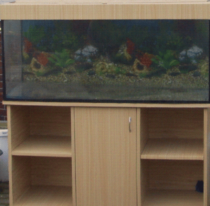 Juwel Aquarium 250l