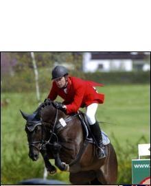 Wallach S. Springpferd Hannoveraner