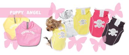 Chihuahua Shop Espadon Frühlingskollektion