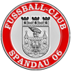 Berliner Damenfußballverein sucht noch diverse Spielerinnen