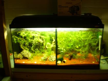 Komplett Aqua geteilt mit Inhalt u. Zubehör
