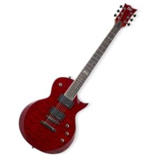 ESP LTD EC-200 Hammerpreis Warwick Case