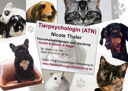 Problemhilfe für Tierbesitzer - Fachrichtung Hunde Katzen Nager
