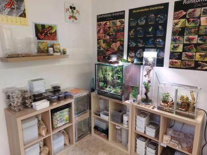 Zubehör Pflanzen Futtertiere Terrarien.