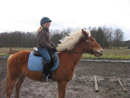 Reitbeteiligung gesucht