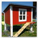 Ebook Hühnerstall selber bauen