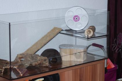 Naggerterrarium 1 00m x 0 4m plus Etage 0 24m x 0 4m