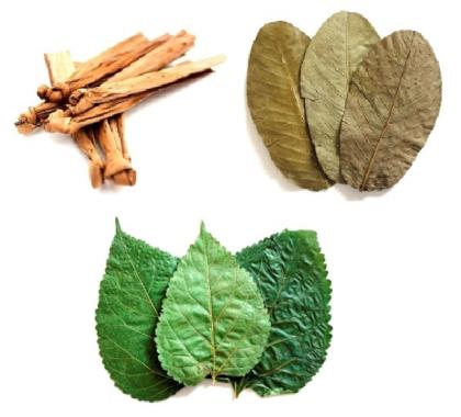 Versch. Naturfutter / Laub als Futter für Garnelen Krebse Apfelschnecken Welse