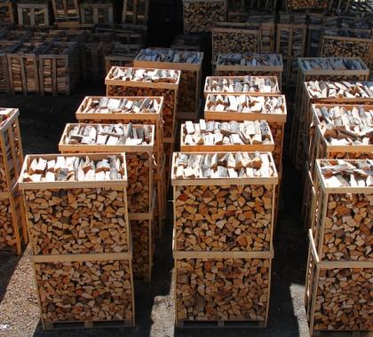Kammergetrocknetes Brennholz unter 20