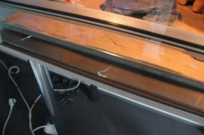 Wunderschönes Terrarium für Geckos mit Zubehör