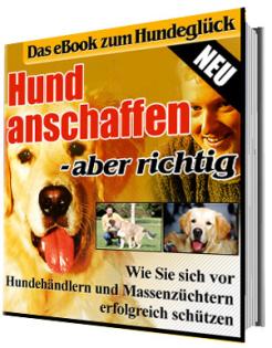 Hund anschaffen - was braucht man für Hunde und Welpen