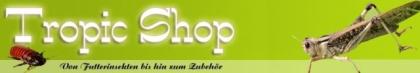 Heuschrecke Heimchen Grillen Terraristik Futtertiere