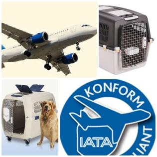 Flying Petbox- transport box rental