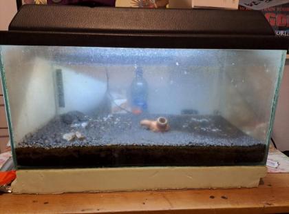 60l Aquarium