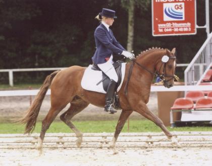 FEI DRESSURPONY