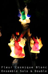 Leuchtende Blüte - Fleur Finesse LichtKreationen Illumination Art