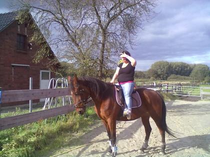 Liebe Traber Stute sucht liebes zuhause