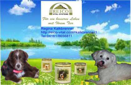 Bekommen Sie Ihr Tierfutter auch geliefert
