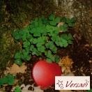 Lydia NEU bei Versadi. Als Neukunde 15min Gratis sprechen