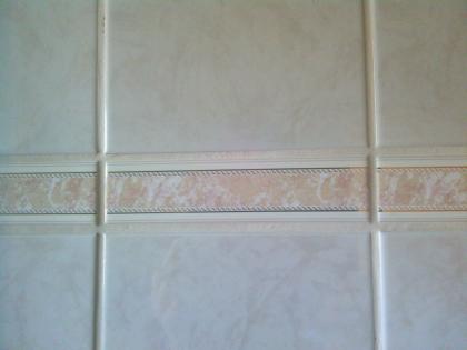 Bordüre von Fa. Bausch 5 20 cm gesucht