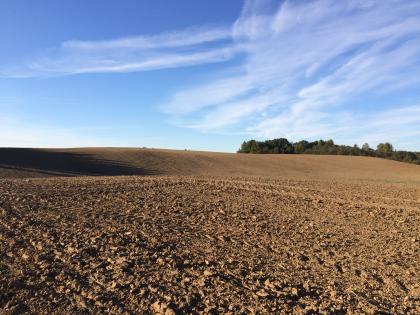 599 31ha Agrarland in Lettland KURLAND zu verkaufen