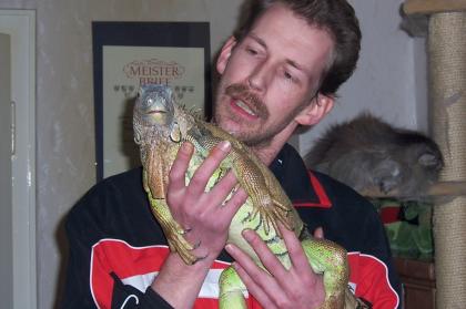 Gebe umstandshalber o 2 iguana iguana günstig ab