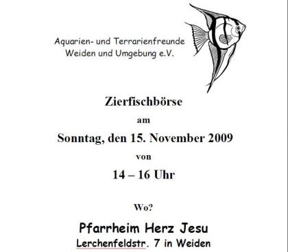 Fischbörse in Weiden am 15. 11. 2022