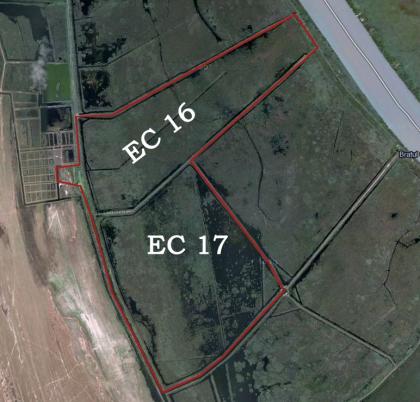 736 ha for tourism aquaculture and agriculture in the Danube Delta Romania