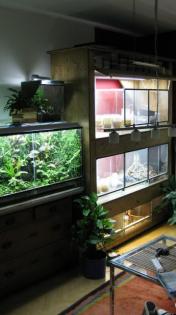 Terrarienregal mit Terrarien und Beregnung