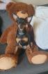 Zwergpinscher/Rehpinscherwelpen