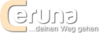 Ceruna schenkt dir ein 15 min Gratisgespräch