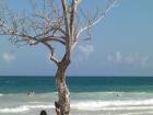 Tauchen in Diani Beach Kenia buchen Sie einen Urlaub in Kenia