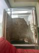 Terrarium 100x60x120